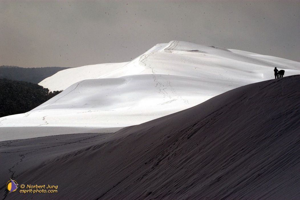 Nom de l'image : D1111980-nef-01_(c)Norbert-JUNG — Description :